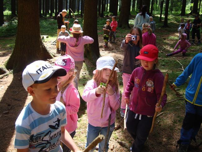 School in the forest 2015
