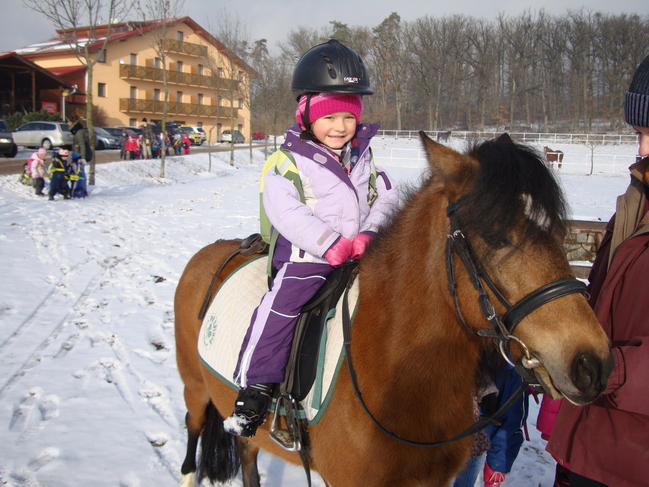 Horses on Panska Licha